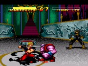 Double Dragon V: The Shadow Falls 5