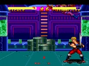 Double Dragon V: The Shadow Falls 6