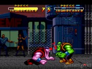 Double Dragon V: The Shadow Falls 13