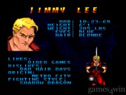 Double Dragon V: The Shadow Falls 15