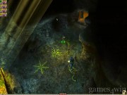 Dungeon Siege 2 9