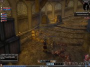 Dungeons & Dragons Online 12