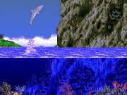 Ecco The Dolphin 18