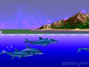 Ecco The Dolphin 20