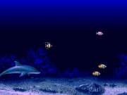 Ecco The Dolphin 21