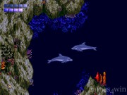 Ecco The Dolphin 27