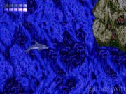 Ecco The Dolphin 30