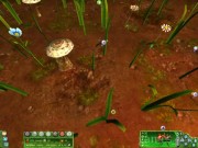 Empire of the Ants 6