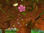 Empire of the Ants 11