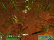 Empire of the Ants 12