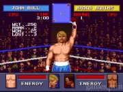 Evander Holyfield's  2