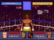 Evander Holyfield's  3