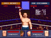 Evander Holyfield's  6