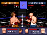 Evander Holyfield's  8