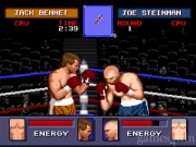 Evander Holyfield's  9