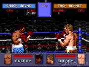 Evander Holyfield's  12