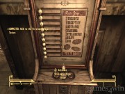 Fallout: New Vegas 3