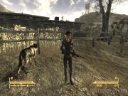 Fallout: New Vegas 9