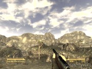 Fallout: New Vegas 13