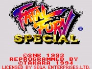 Fatal Fury Special 1