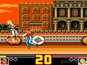 Fatal Fury Special 11