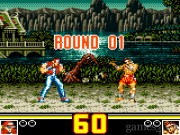 Fatal Fury Special 13