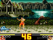 Fatal Fury Special 14