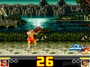 Fatal Fury Special 15