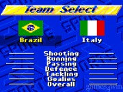 FIFA International Soccer 9