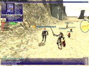 Final Fantasy XI Online 13