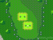 Fred Couples Golf 12