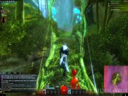 Guild Wars 2 3