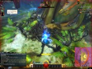 Guild Wars 2 6