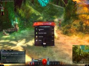 Guild Wars 2 7