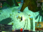 Guild Wars 2 8