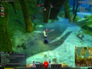 Guild Wars 2 9