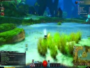 Guild Wars 2 10