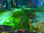 Guild Wars 2 12