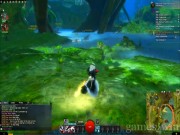 Guild Wars 2 13