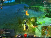 Guild Wars 2 14