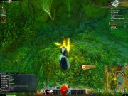 Guild Wars 2 16