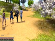 Guild Wars: Factions 4