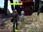 Guild Wars: Factions 5