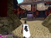 Guild Wars: Factions 10