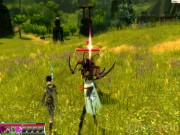 Guild Wars: Factions 16