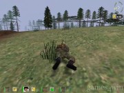 Hidden & Dangerous 12