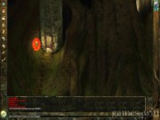 Icewind Dale: Heart of Winter 4