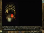 Icewind Dale: Heart of Winter 5