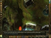 Icewind Dale: Heart of Winter 6