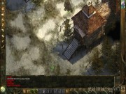 Icewind Dale: Heart of Winter 9